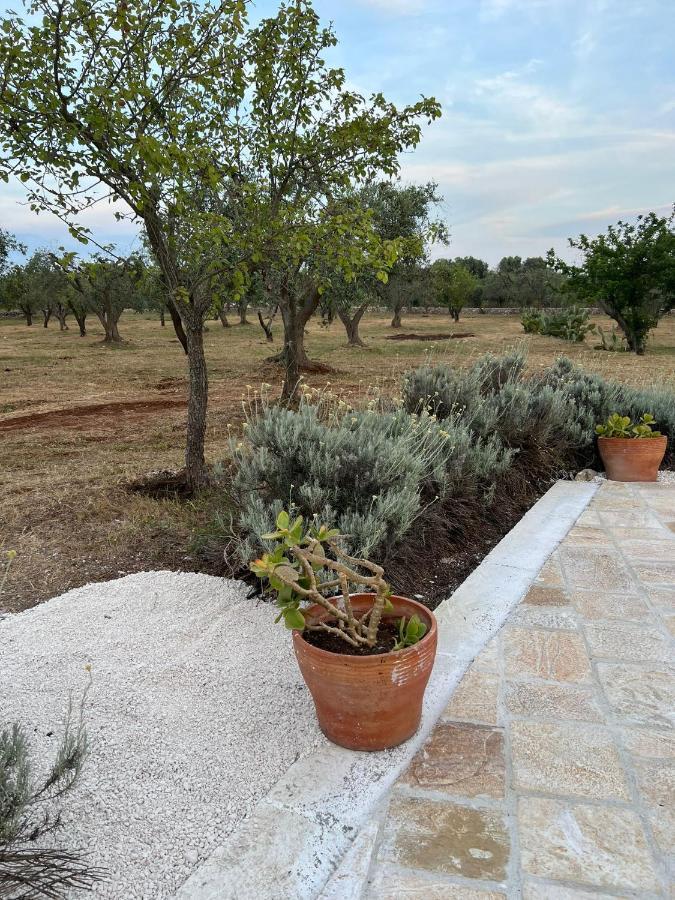 فيلا Trullo Oriale أوستوني المظهر الخارجي الصورة